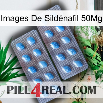 Images De Sildénafil 50Mg viagra4